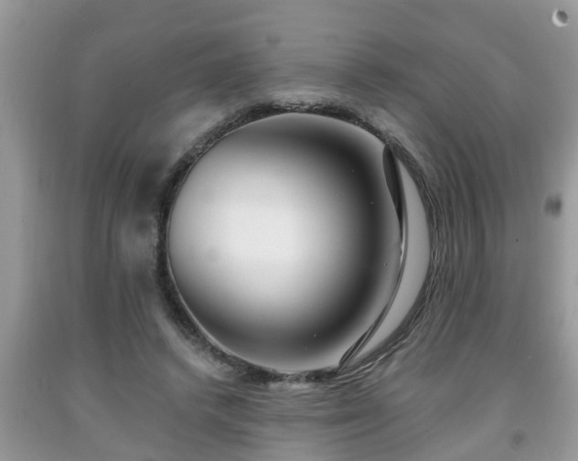 X0000091970448200709131342