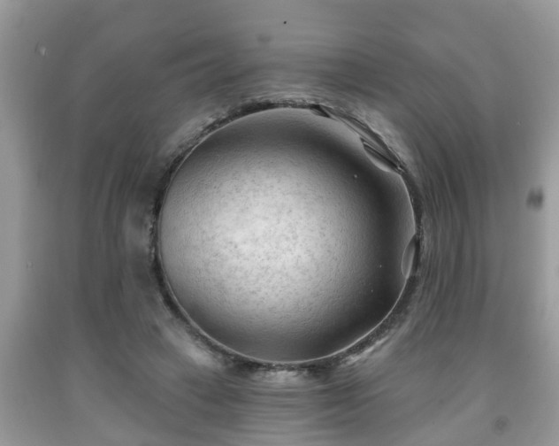 X0000091970449200709131342