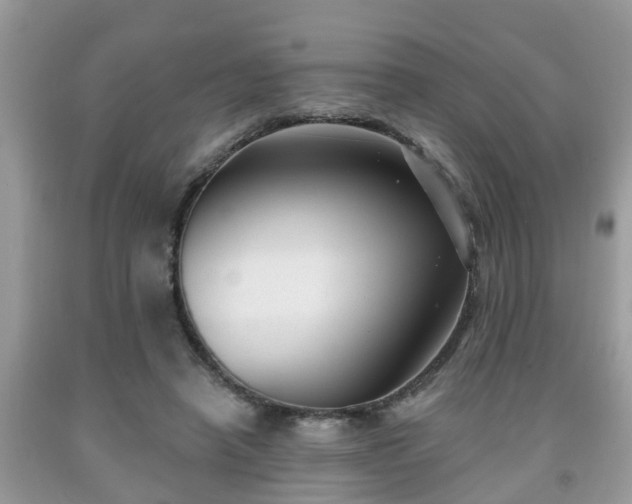 X0000091970450200709131342
