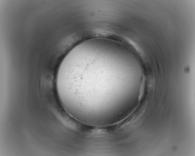 X0000091970451200709131342