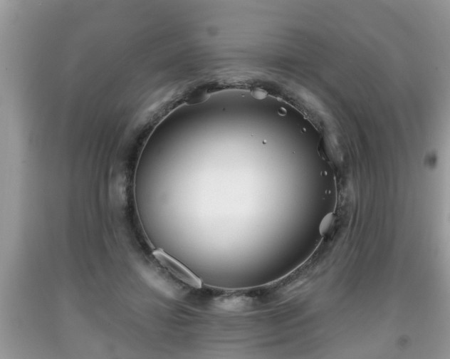 X0000091970452200709131342