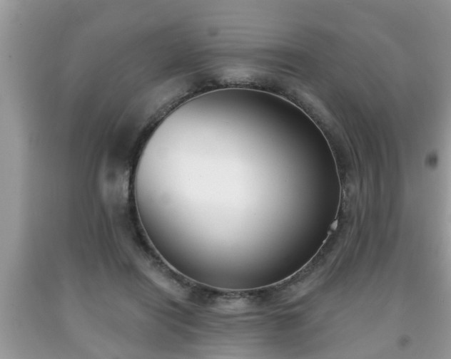 X0000091970454200709131342