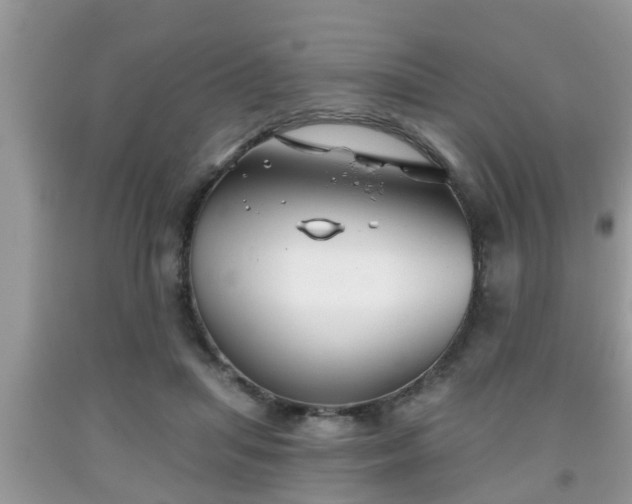 X0000091970455200709131342