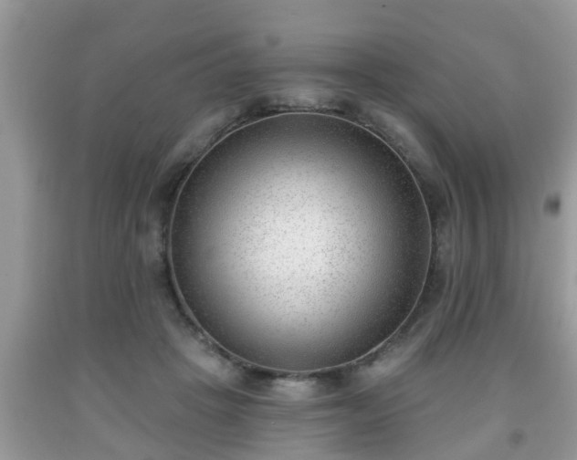 X0000091970457200709131342