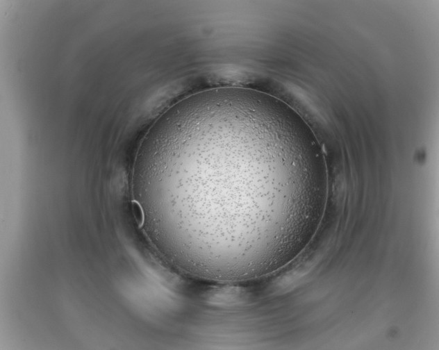 X0000091970459200709131342