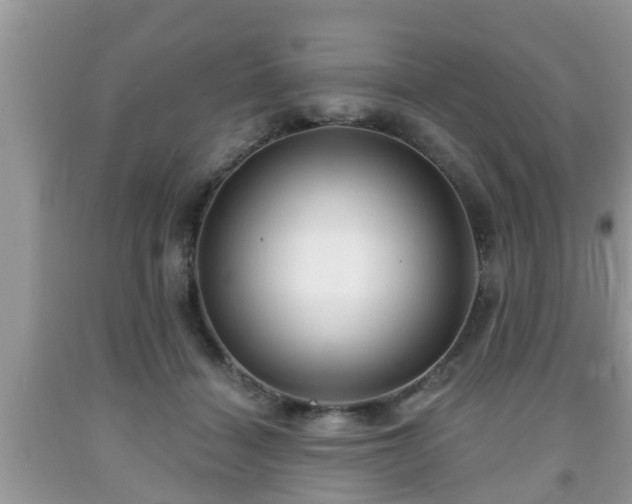X0000091970460200709131342