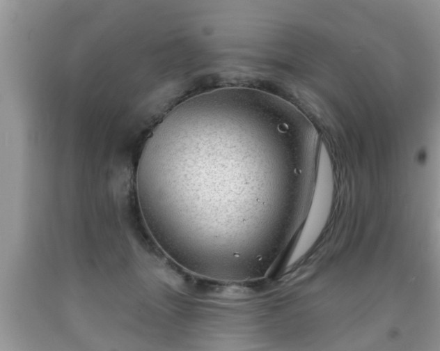 X0000091970463200709131342