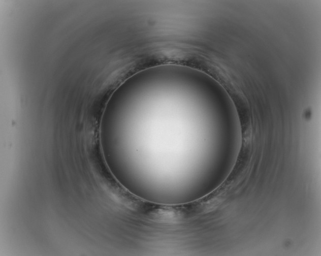 X0000091970464200709131342