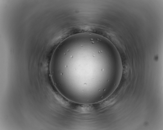 X0000091970466200709131342