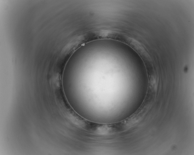X0000091970470200709131342