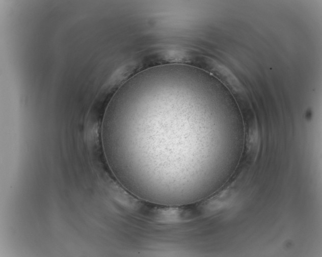 X0000091970473200709131342