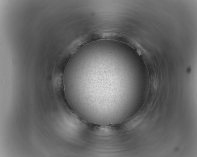 X0000091970475200709131342
