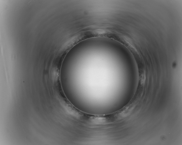 X0000091970476200709131342