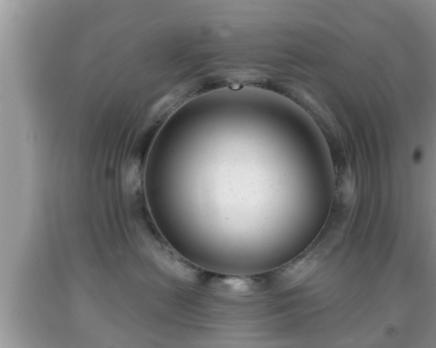 X0000091970478200709131342