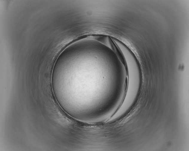 X0000091970481200709131342