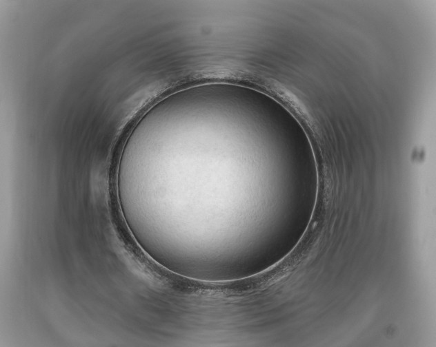 X0000091970482200709131342
