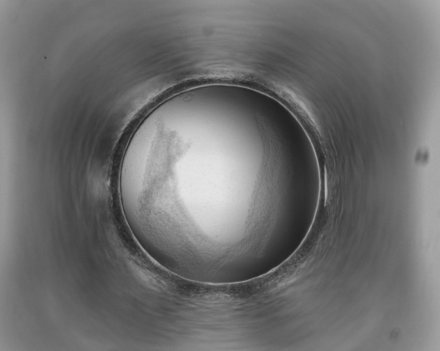 X0000091970483200709131341