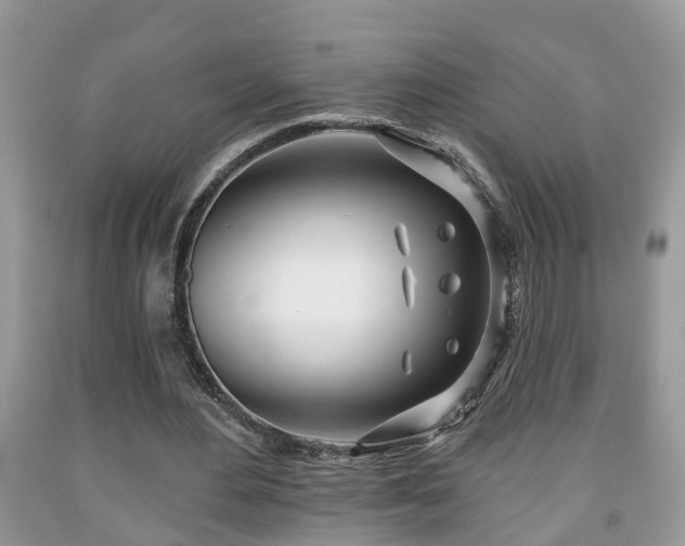 X0000091970484200709131341