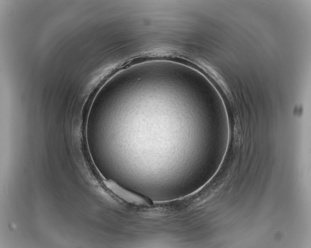 X0000091970485200709131341