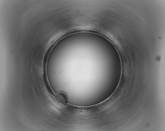 X0000091970486200709131341