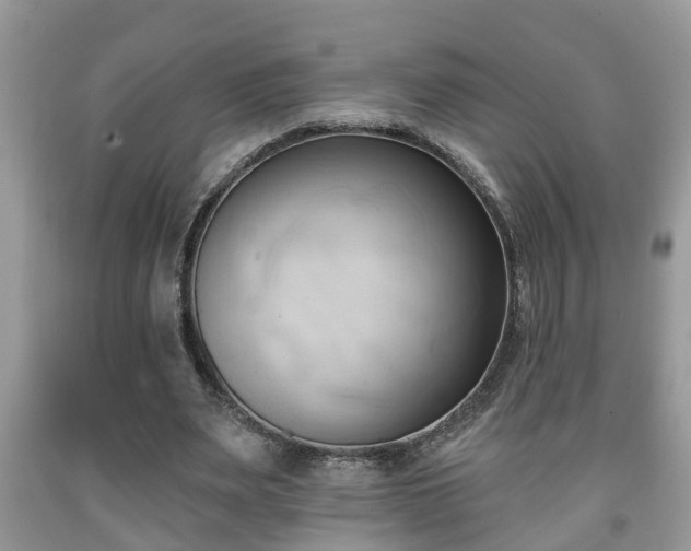 X0000091970487200709131341