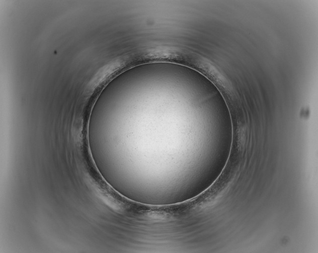 X0000091970490200709131341