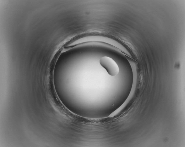 X0000091970492200709131341