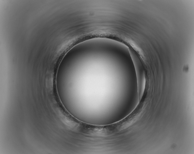 X0000091970493200709131341