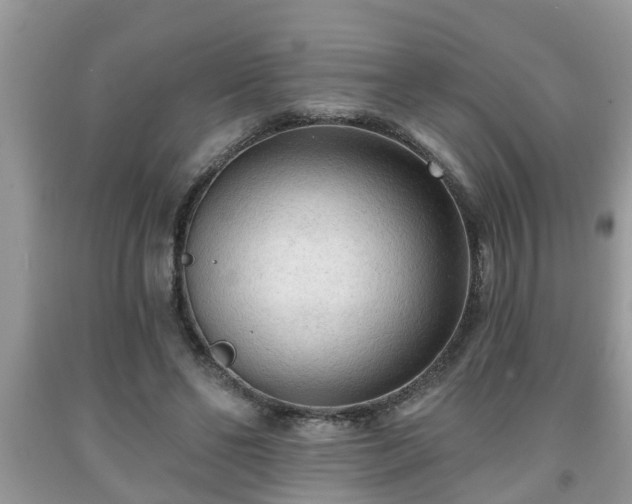 X0000091970494200709131341