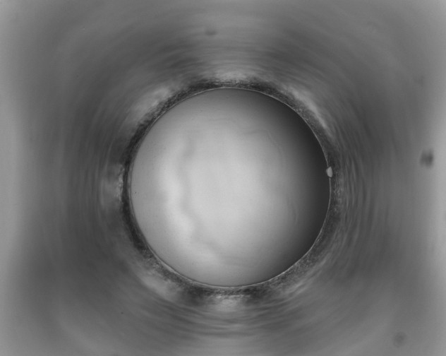 X0000091970495200709131341