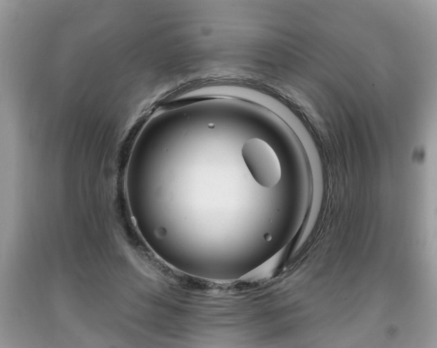 X0000091970496200709131341