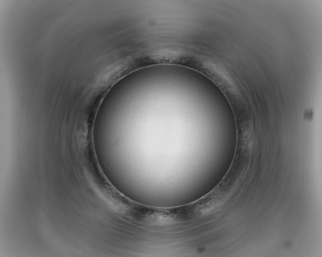 X0000091970498200709131341