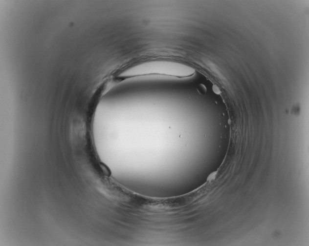 X0000091970500200709131341