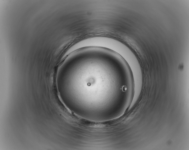 X0000091970501200709131341