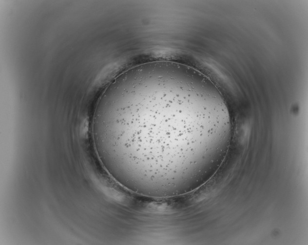 X0000091970502200709131341