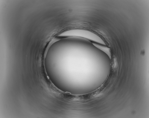 X0000091970504200709131341