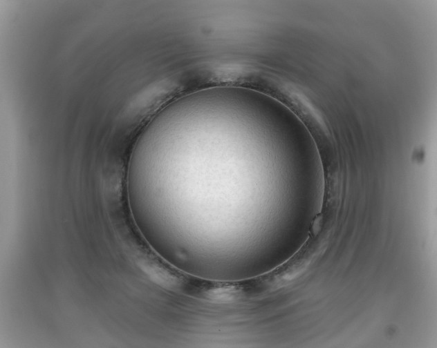 X0000091970505200709131341