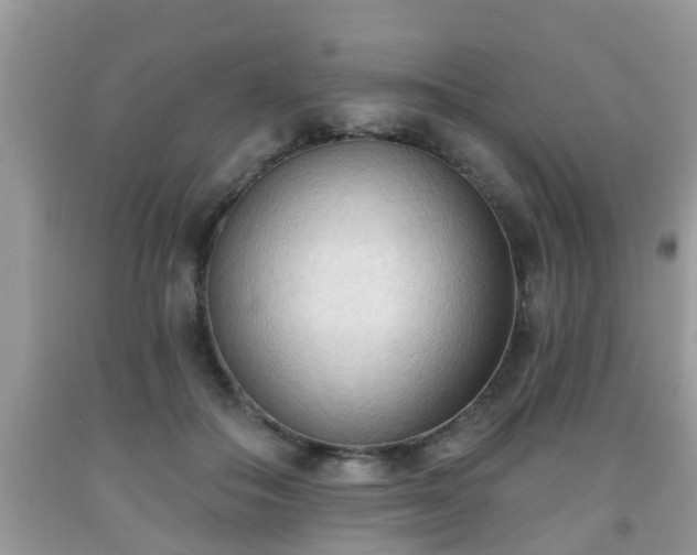 X0000091970506200709131341