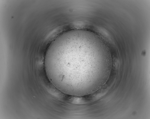 X0000091970507200709131341