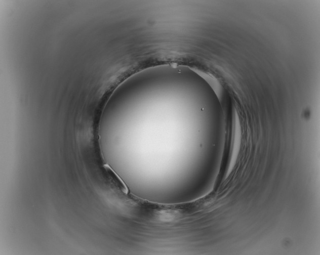 X0000091970508200709131341