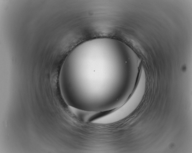 X0000091970509200709131341
