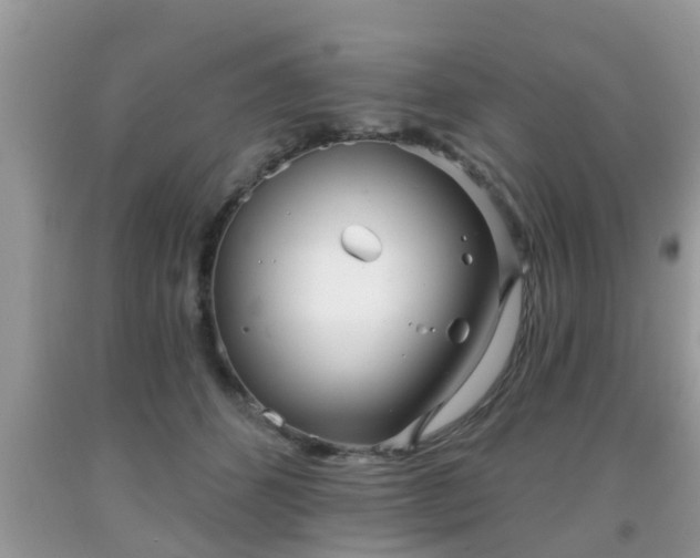 X0000091970512200709131341