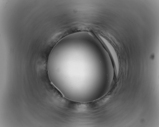 X0000091970513200709131341