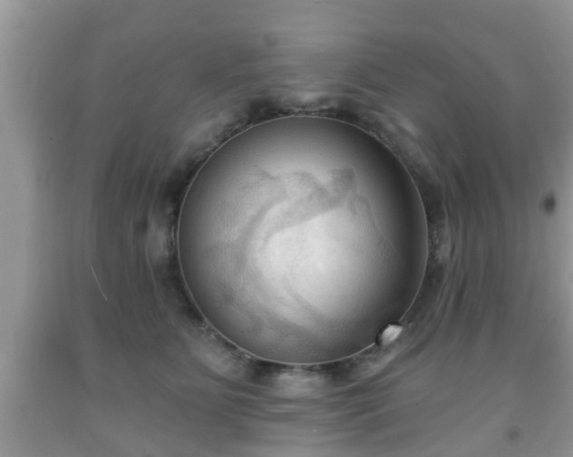 X0000091970515200709131341