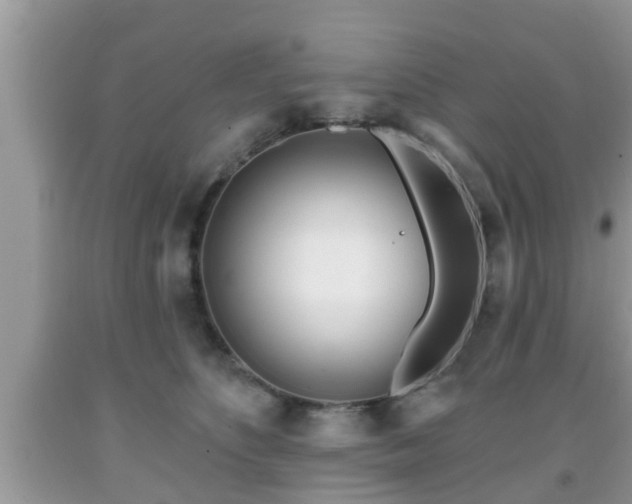 X0000091970516200709131341