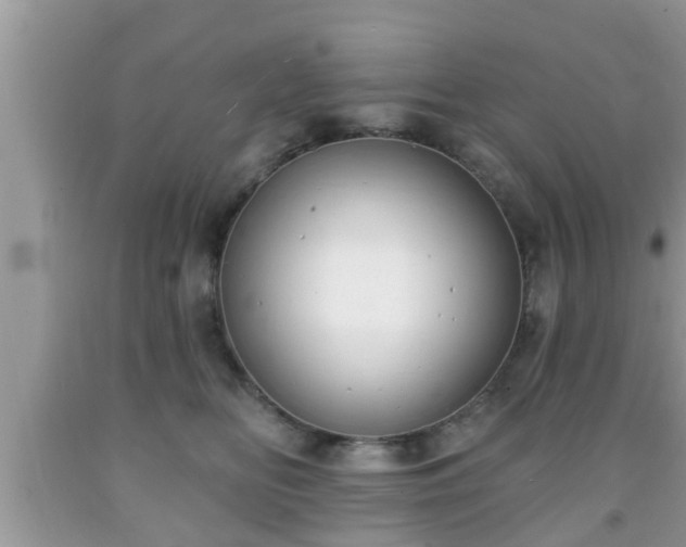 X0000091970518200709131341