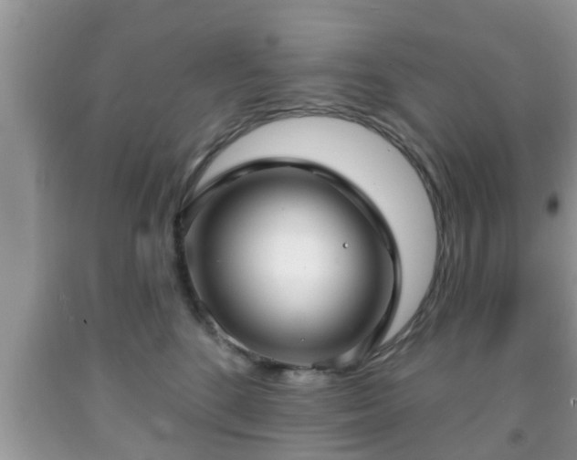 X0000091970520200709131341