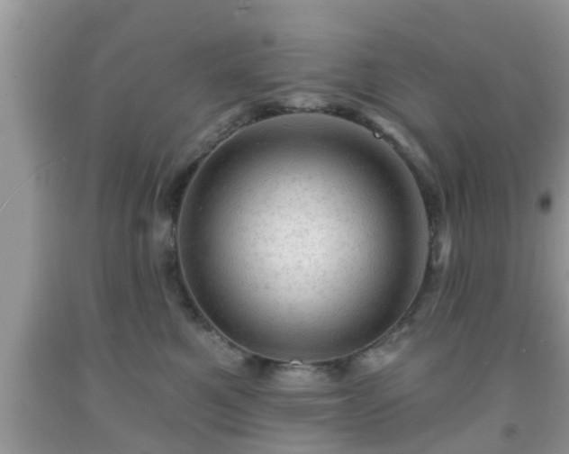 X0000091970521200709131341