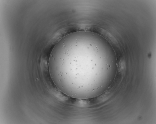 X0000091970522200709131341