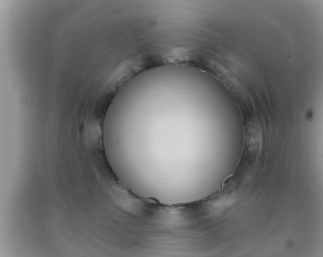 X0000091970523200709131341